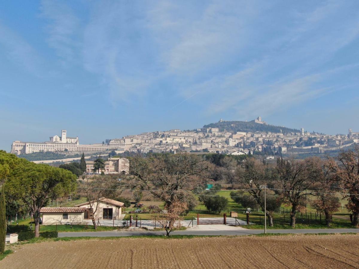 Hotel Il Granaio Di Rossetti Elisabetta Asís Exterior foto